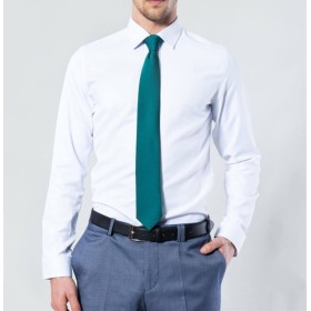 Tudors Slim Fit Beyaz Erkek Gömlek DR170207-310