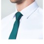 Tudors Slim Fit Beyaz Erkek Gömlek DR170207-310