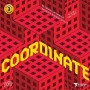 Coordinate - Level 3-1.Kitap IQ ve Yetenek Geliştiren Kitaplar Serisi 7