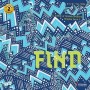 Find - Level 2 - 2.Kitap IQ ve Yetenek Geliştiren Kitaplar