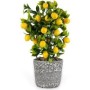 Çiçekmisin Porselen Saksıda Yapay Limon Ağacı 39cm