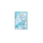 Keskin Color Keskin Frozen A5 40 Yaprak Pp Kapak Çizgili Defter 451001