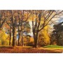 ideal Decor Resimli Dekoratif Duvar Kağıdı 366x254 cm Autumn Park 271