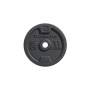 Domyos Ağırlık Plaka Disk - 5kg 11 LBS  28mm