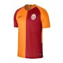 Nike Erkek Sarı Gs M Nk Brt Stad Jsy Ss Hm Forma 918994-837