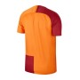 Nike Erkek Sarı Gs M Nk Brt Stad Jsy Ss Hm Forma 918994-837
