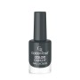 Golden Rose Oje - Color Expert Nail Lacquer No: 90 8691190703905 OGCX