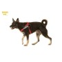 JULİUS-K9 Color & Gray IDC Kemerli Göğüs Tasması 2