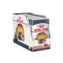 Royal Canin Gravy Intense Beauty Kedi Maması 85 gr 12 Adet