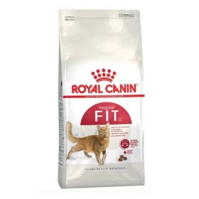 Royal Canin Fit 32 Kedi Maması 10 KG