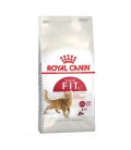 Royal Canin Fit 32 Kedi Maması 10 KG
