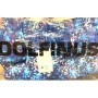 Dolfinus 800 Batmayan Şort
