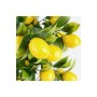 Çiçekmisin Porselen Saksıda Yapay Limon Ağacı