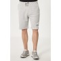 Altınyıldız Classics Erkek Gri Slim Fit Günlük Rahat Spor Örme Şort 4A9521200007