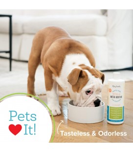 Oxyfresh Premium Pet Diş Bakım Çözümü Pet Su Katkısı