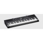 Casio CTK-1200 Org (Kılıf+Adaptör Hediye)