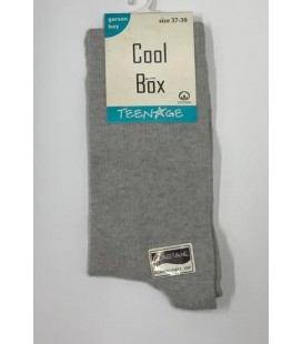 TeenAge Kadın  Çorap T-001 Gri