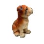 SetaBiaanca Biblo Köpek