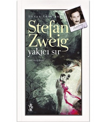 Venedik Yayınları Stefan Zweig Yakıcı Sır