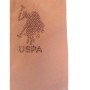 US. Polo Kadın V Yaka Tişört G082SZ011.000.1191056