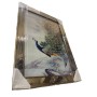 Lüks Varaklı Bronz Aynalı Tavuskuşu Tablo 50x70