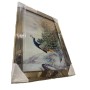 Lüks Varaklı Bronz Aynalı Tavuskuşu Tablo 50x70