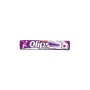 Kent Olips Orman Meyveli 24 Adet