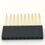 Arduino Uzun Bacaklı 10 Pin Dişi Header
