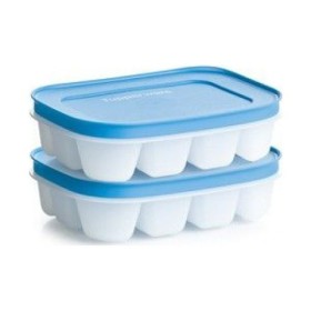 Tupperware Alaska Buzluk 2'Li