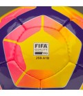 Nike Premier Team Futbol Topu FIFA Onaylı 5 Numara SC2971-702