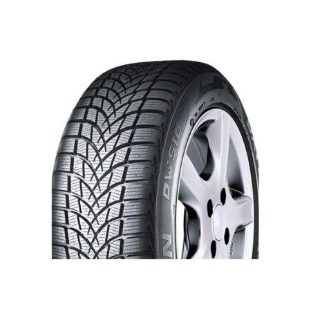 Dayton 205/55r16 91h Dw510e Kış Lastiği
