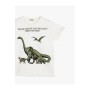Koton Erkek Çocuk Ekru T-Shirt 0YKB16041OK