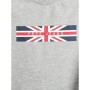 Pepe Jeans  Erkek Gri Normal Kesim Tişört PM506487