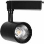 BY-CE Lighting Ray Spot 30 W Cob Gün Işığı