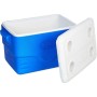 Coleman 3 Parça Cooler Combo 48 QT 45.4 LT BL Combo 5 QT 3 Gal. C002 Buzluk Set
