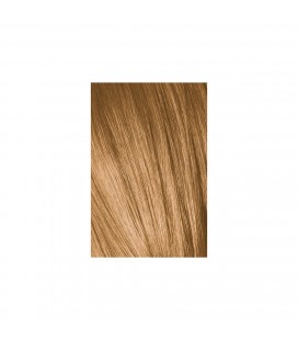 İgora Royal Absolutes Saç Boyası 9-60 Sarı Doğal 60 Ml