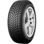 Dayton 195/65 R15 91T DW510 Oto Kış Lastiği