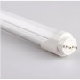 Luxar 18 W 840 T8 Florasan Ampul Hlite