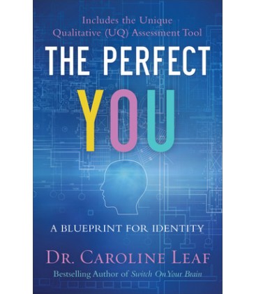 The Perfect You: A Blueprint for Identity