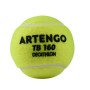 Artengo Tenis Topu 3 adet  Sarı TB160