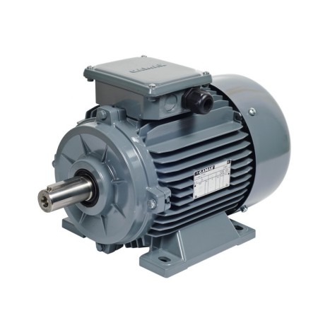 Gamak AGM2E 100 L 4a 2,2 KW 1500D 380 V (Trifaze) Motor