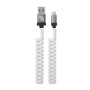 A metal spiral Charging Cable Data iPhone petrix tip PFK800S