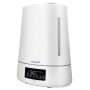 Weewell Soğuk Buhar Üfleyici WHC740