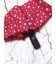 Rugby Kadın Kırmızı Mini Otomatik Şemsiye