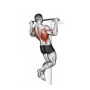 Sportive Ayarlanabilir Kapı Barfiksi SPT-2903V-GRI