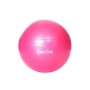 Sportive Spt-2902v - Pilates Topu 65cm Pembe