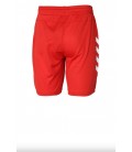 hummel Hmlt-te Topaz Shorts Kırmızı Erkek Şort 931582-2220