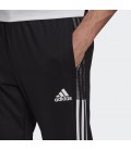 Adidas Tiro21 Tk Pnt Erkek Eşofman Altı GH7305