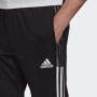 Adidas Tiro21 Tk Pnt Erkek Eşofman Altı GH7305
