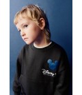 Zara MICKEY MOUSE AND FRIENDS © DISNEY 100TH ANNIVERSARY HOODIE